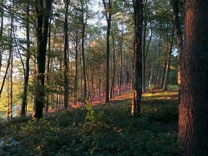 Commercial Land For Sale In Ketford, Dymock, GL18