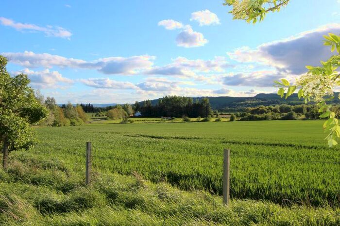 Property For Sale In Rait, Perth, PH2