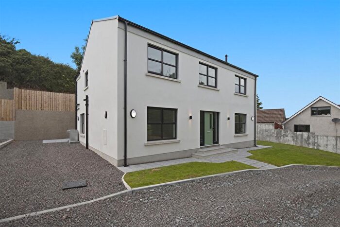 4 Bedroom Detached House For Sale In Site, Moss Road, Ballynahinch, BT24