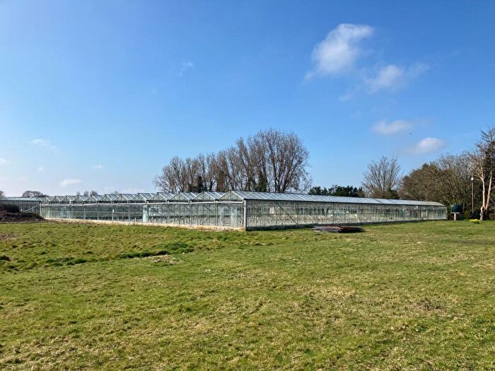 Farm Land To Rent In Eastergate Lane, Walberton, Arundel, West Sussex, BN18