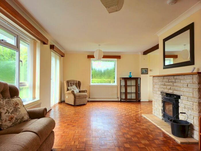 3 Bedroom Detached Bungalow To Rent In Ashmore, SP5