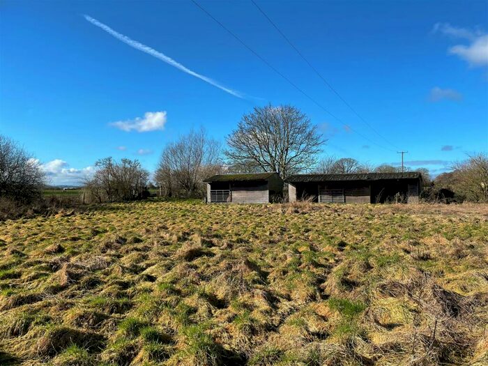 Farm Land For Sale In Westhay, Glastonbury, Somerset, BA6