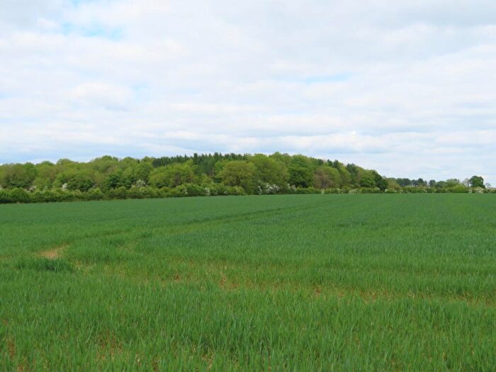 Land For Sale In Land At Furzen Leaze Farm, Ewen, Cirencester, Gloucestershire, GL7