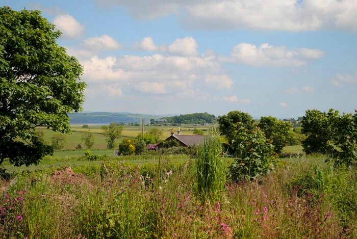 Land For Sale In Ethie, Arbroath, Angus, DD11