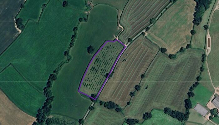 Land For Sale In Awliscombe, Honiton, EX14