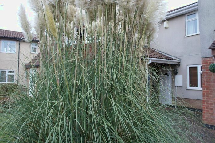 2 Bedroom Terraced House To Rent In Saltersgate, Parnwell, Peterborough, PE1