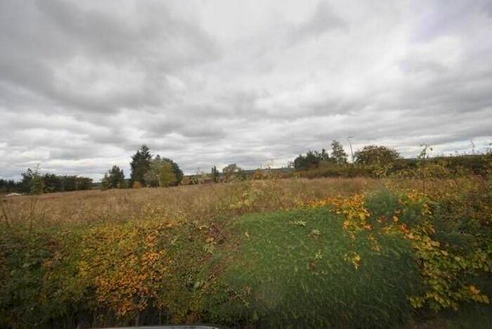 Land For Sale In Blair Road, Crossford, Carluke, ML8