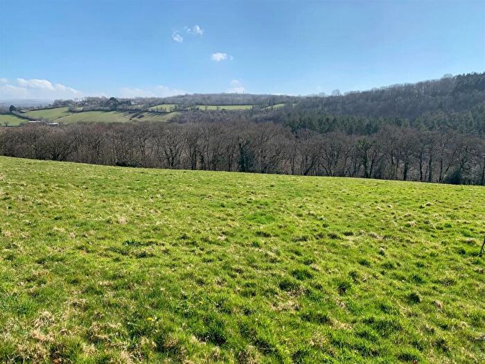 Land For Sale In Tavistock, PL19