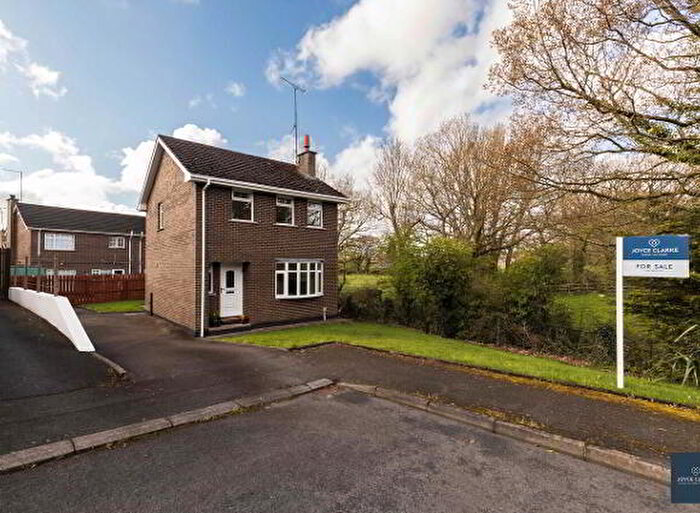 3 Bedroom Detached House For Sale In Kensington Park, Portadown, BT63