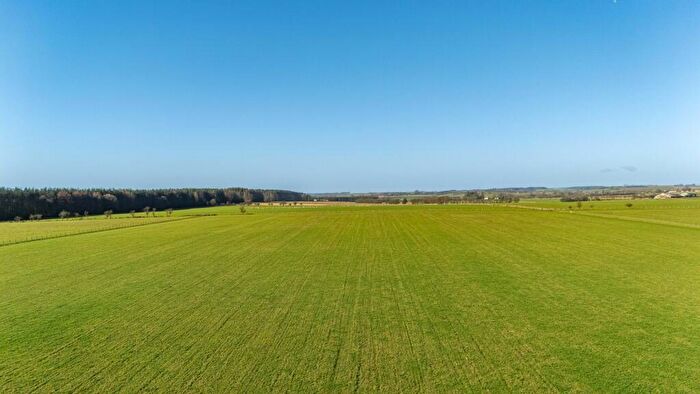 Farm Land To Rent In Land At Midlands And Greenknowe, DG14