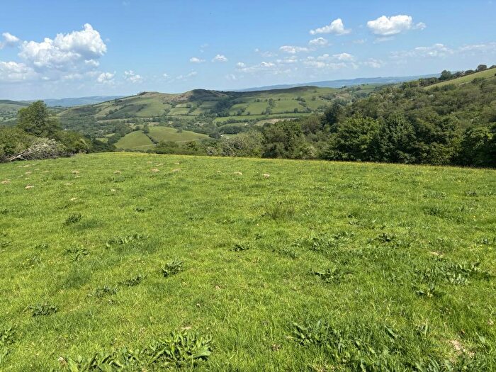 Land For Sale In & Pantglas Fields, Llanwrda, Carmarthenshire., SA19