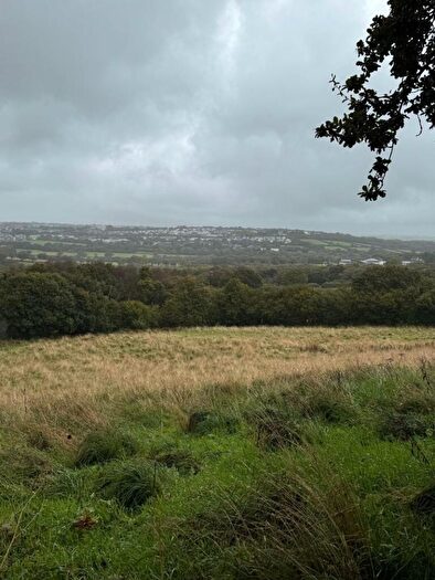 Land For Sale In Land At Tretoil, Bodmin, PL30