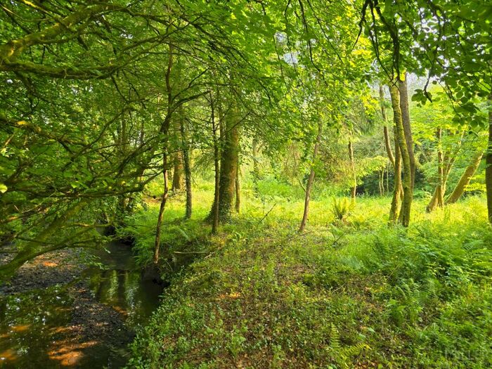 Land For Sale In Bradworthy, Holsworthy, Devon, EX22
