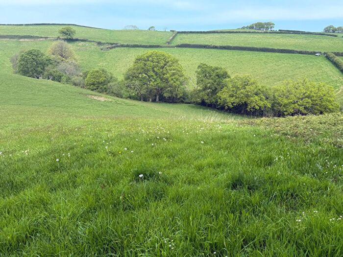 Land For Sale In Lot - Dipwell Farm, Ashburton, TQ13