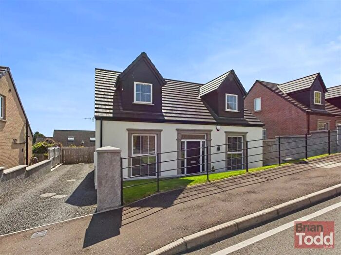 4 Bedroom Detached House For Sale In Beech Hill View, Larne, BT40