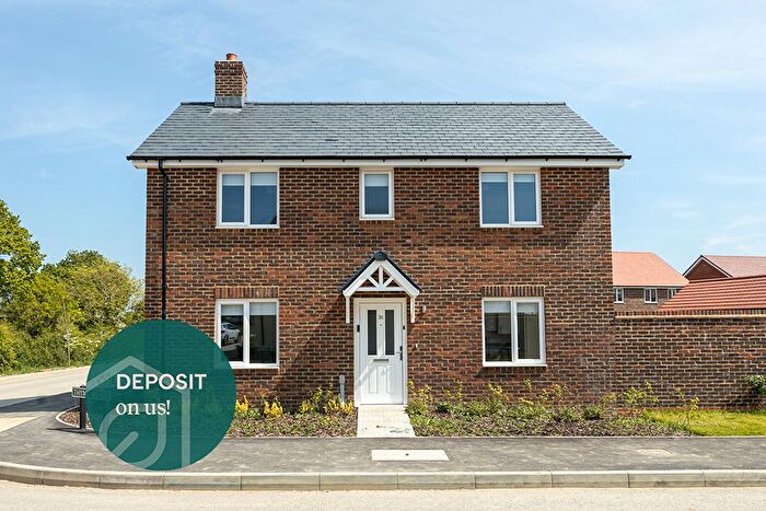 3 Bedroom Detached House To Rent In Leaf Living At Liberty Place, Hailsham, East Sussex, BN27