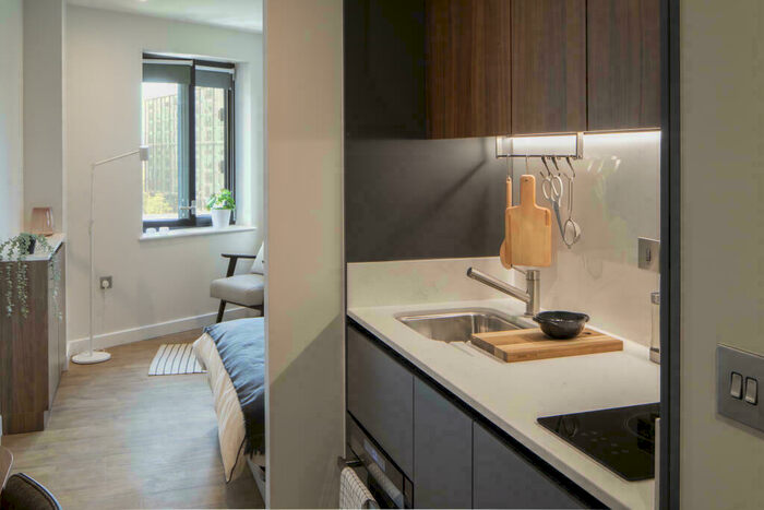 Studio To Rent In College Road, East Croydon, London, CR0