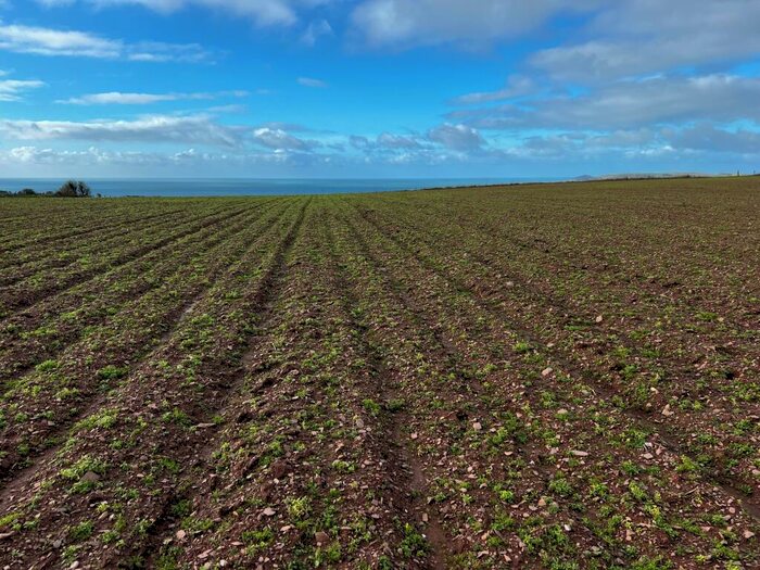 Land For Sale In Lot Land At Down Thomas, PL9