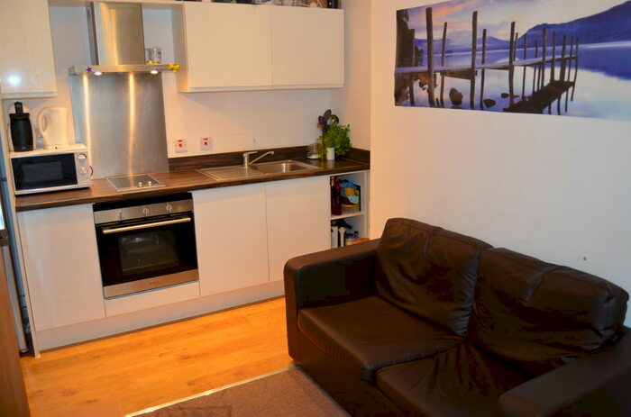 Studio To Rent In Whitefield Tce, Flat Greenbank Road, PL4