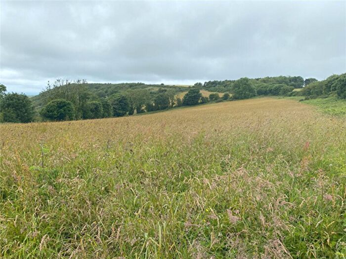 Land For Sale In Llangrannog Road, Brynhoffnant, Llandysul, Ceredigion, SA44