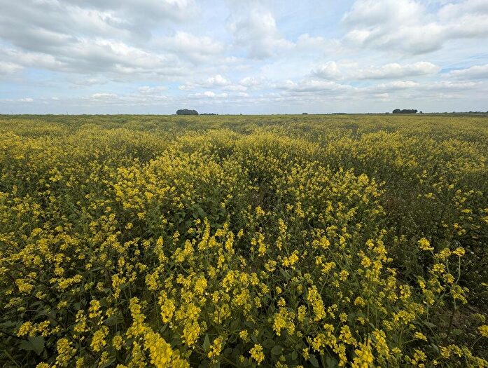 Farm Land For Sale In Land South Of Horsehead Drove, Lakes End, Cock Fen Road, Welney, Wisbech, Norfolk, PE14