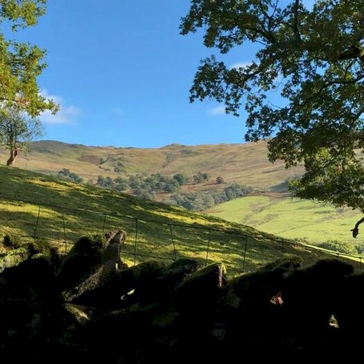 Land For Sale In Thistly Wood, Kirkstone Road, Ambleside, Cumbria LA22