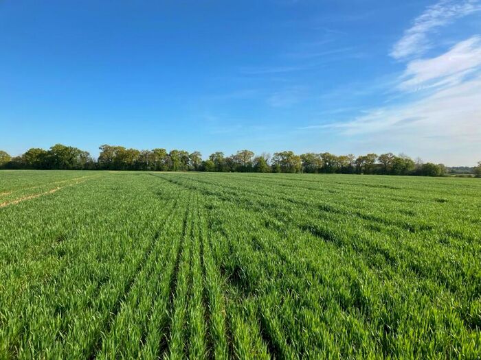 Land For Sale In Norton Heath, Ingatestone, Essex, CM4