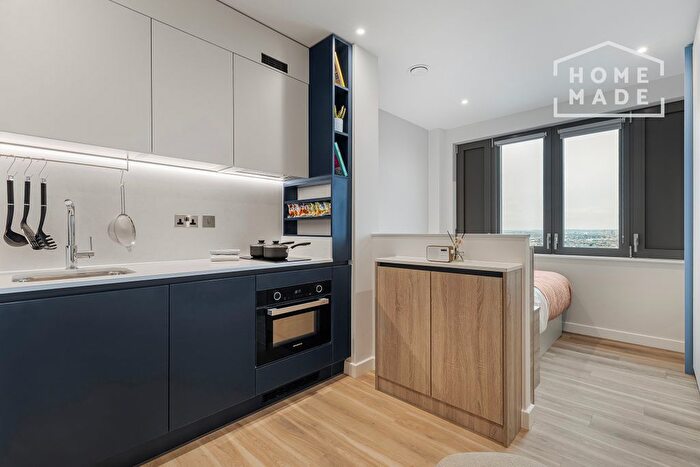 Studio To Rent In Enclave Acton, W3