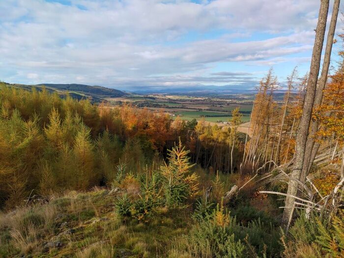 Land For Sale In Ayton Woodlands, Aberargie, Perth, PH2