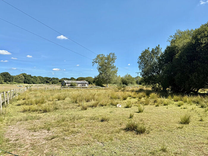 5 Bedroom Detached Bungalow For Sale In Rose Cottage, Sandy Lane, Three Legged Cross, Wimborne, Dorset, BH21