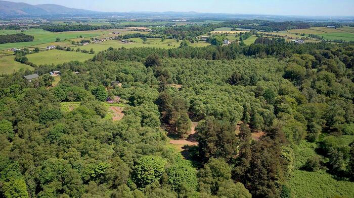 Land For Sale In . Acre Plot Westbarr Wood, Stirling, FK7