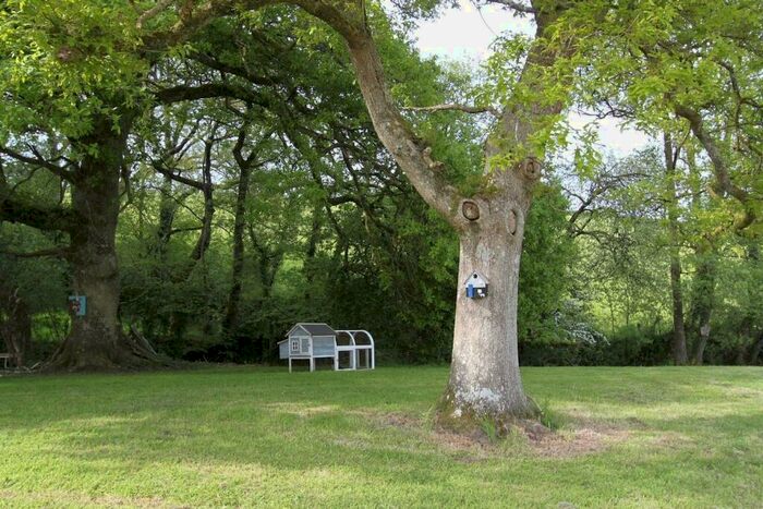 Land For Sale In Woodacott, Holsworthy, EX22