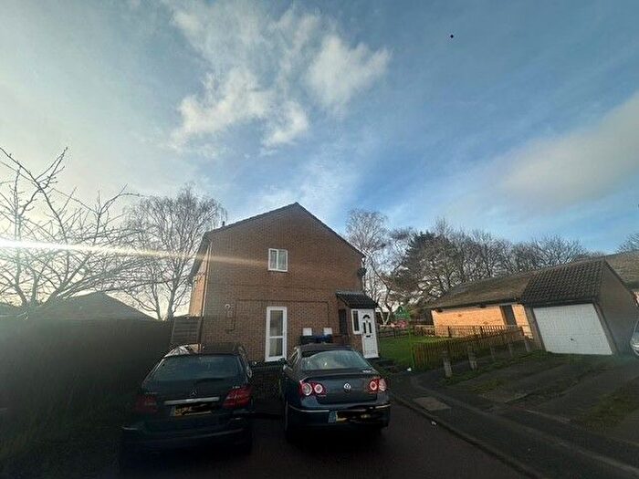 3 Bedroom Semi-Detached House To Rent In Morgan Place, Northampton, NN3