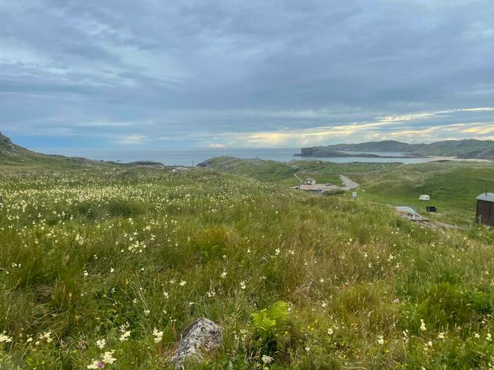 Land For Sale In M Nw Of Oldshoremore, Kinlochbervie, Lairg, Highland, IV27