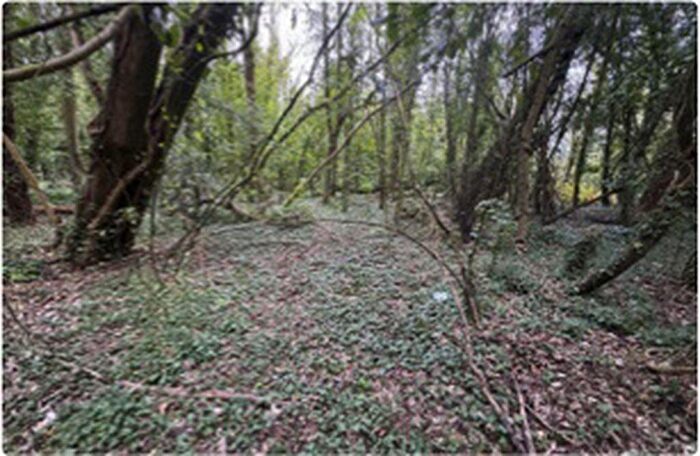 Detached House For Sale In Dover Road, Deal, CT14