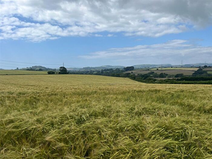 Land For Sale In Melplash, Bridport, DT6