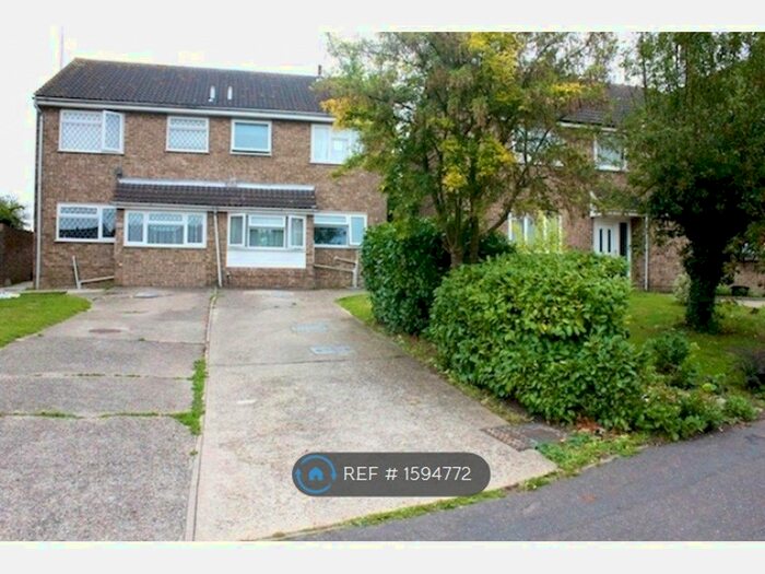 4 Bedroom Semi-Detached House To Rent In Forest Road, Colchester, CO4