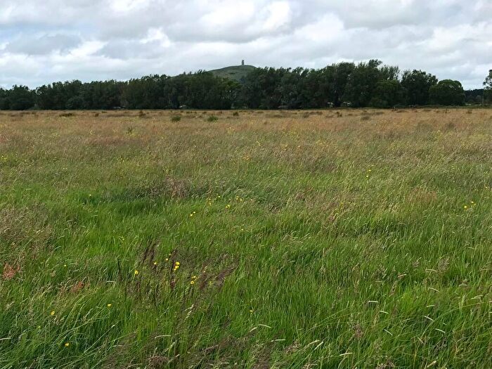 Farm Land For Sale In Watchwell Drove, Street, BA6