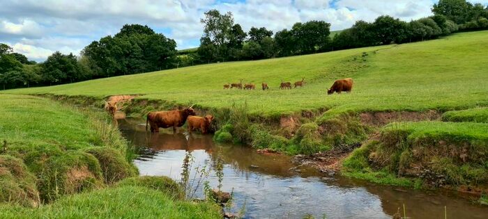 4 Bedroom Detached House For Sale In Garlandhayes Farm, Westcott, Cullompton, EX15