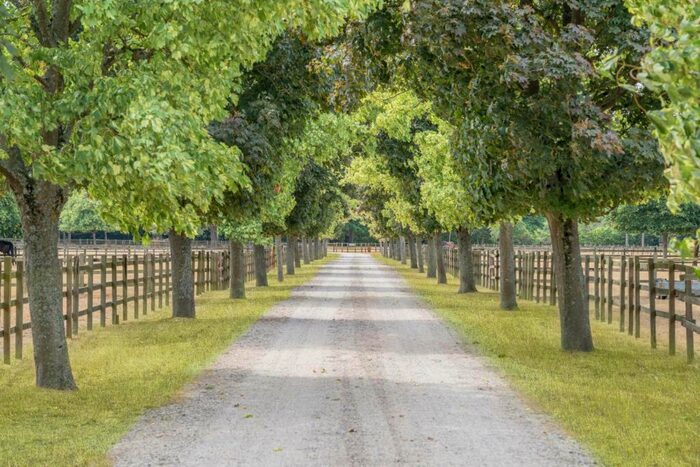 7 Bedroom Equestrian Facility For Sale In Padworth Common, Berkshire, RG7