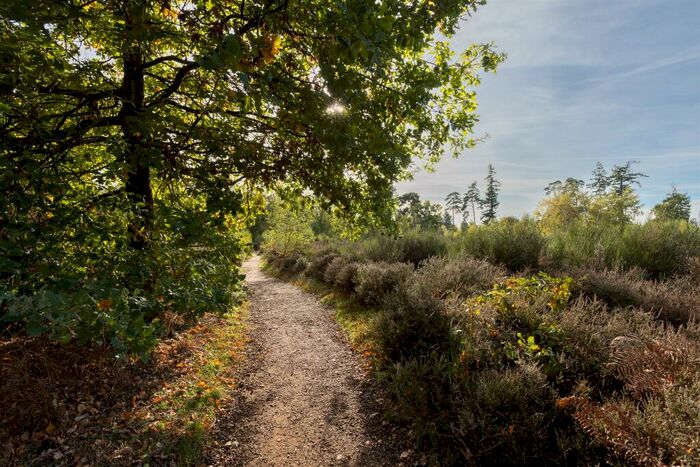 3 Bedroom House For Sale In High Street, Sutton, Sandy, SG19