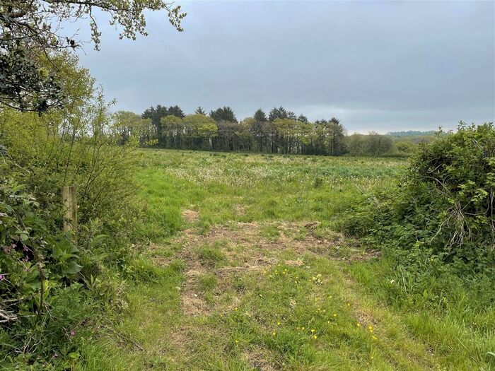 Land For Sale In Dolton, Winkleigh, EX19