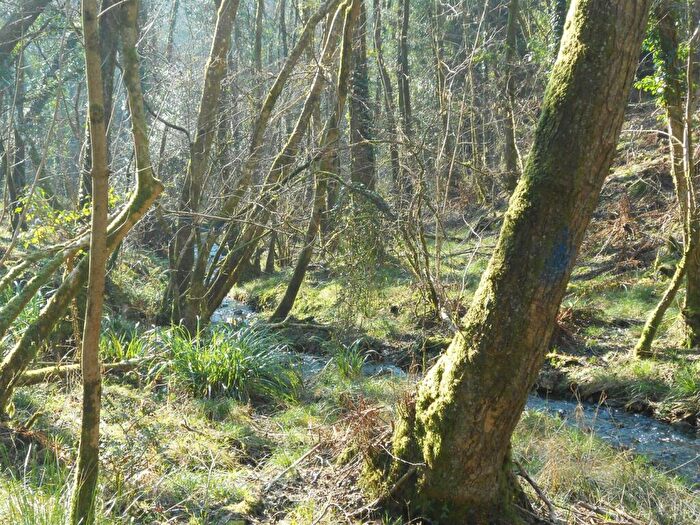 Farm Land For Sale In Lyme Road, Uplyme, Axminster, EX13