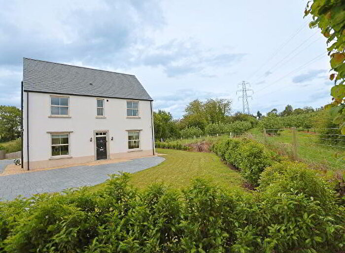 4 Bedroom Detached House For Sale In Appleton Lodge, Craigavon, BT63