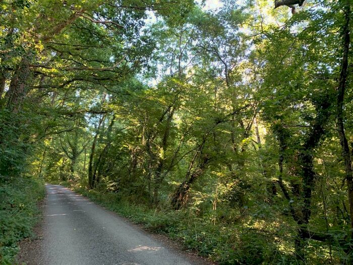 Land For Sale In Tedburn St. Mary, Exeter, EX6