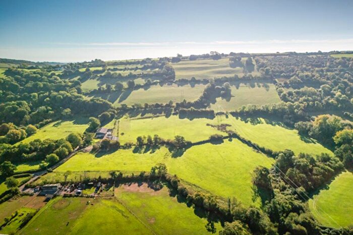 Land For Sale In Ibberton, Blandford Forum, Dorset, DT11