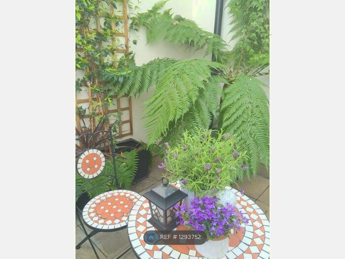 Studio To Rent In Queen's Gate, London SW7