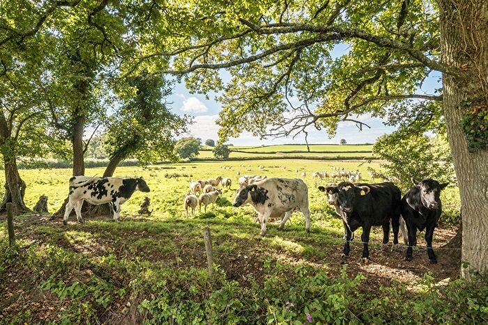 Land For Sale In Fluxton, Ottery St Mary, EX11