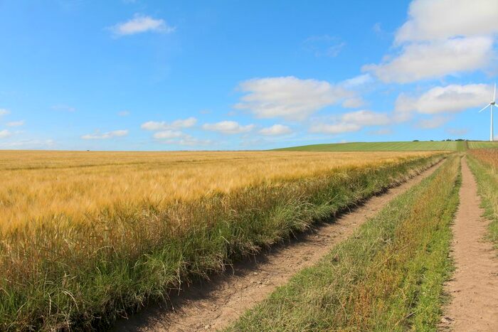 Land For Sale In Largue, Huntly, AB54