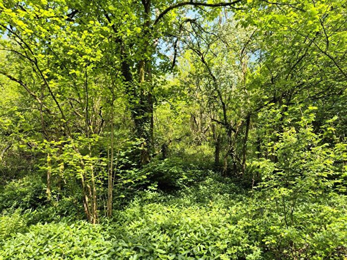 Land For Sale In Waterfall, Waterhouses, Stoke-On-Trent, ST10